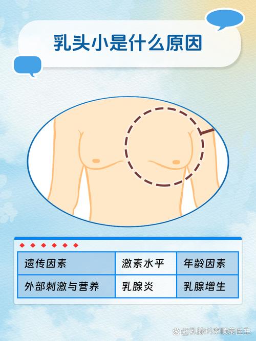 为什么乳头很小