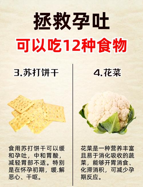 吃什么可以催吐