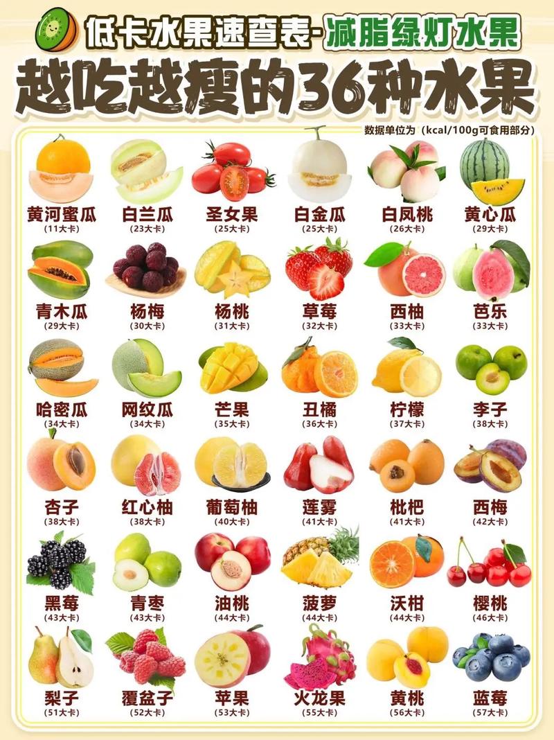 最能减肥的水果是什么意思