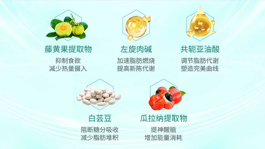 什么产品减肥快不反弹