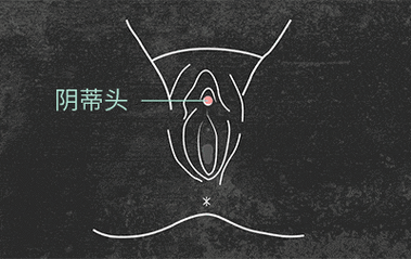 女生豆豆是什么