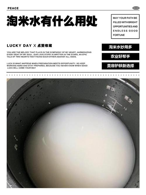 淘米水有什么作用