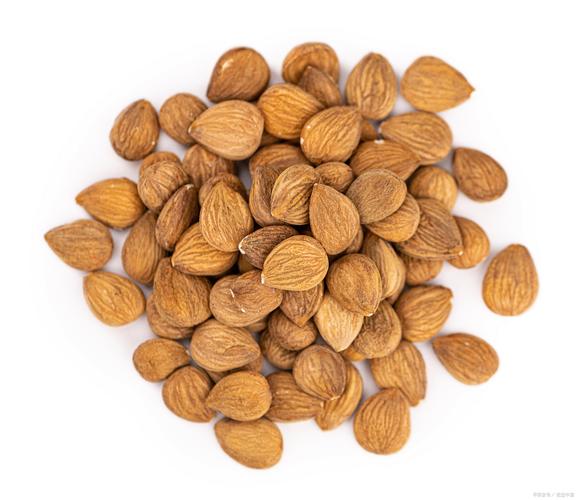 杏仁长什么样子