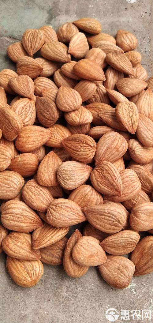 杏仁长什么样子