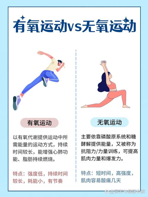 有氧减肥是什么