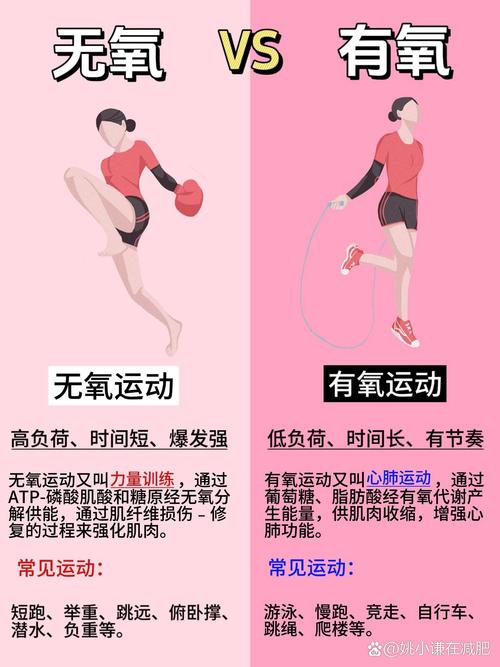 有氧减肥是什么