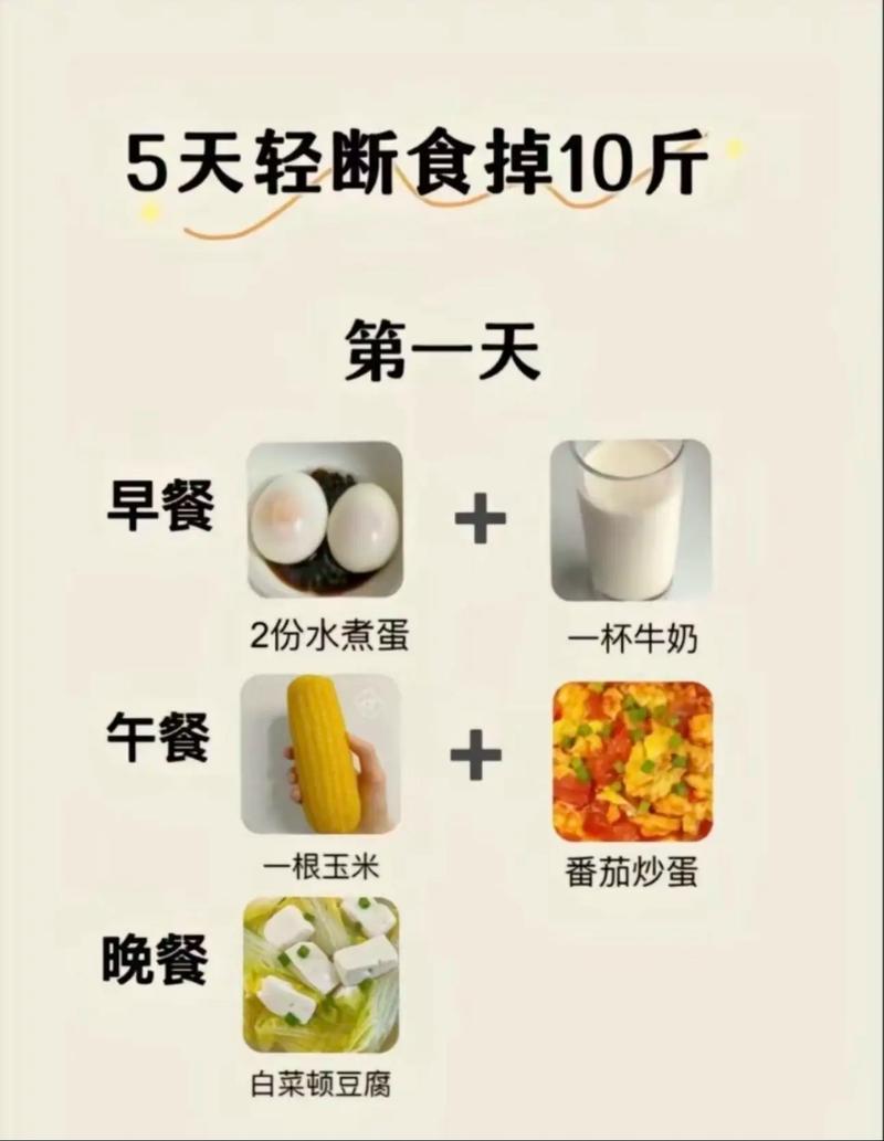 减肥每天三餐吃什么
