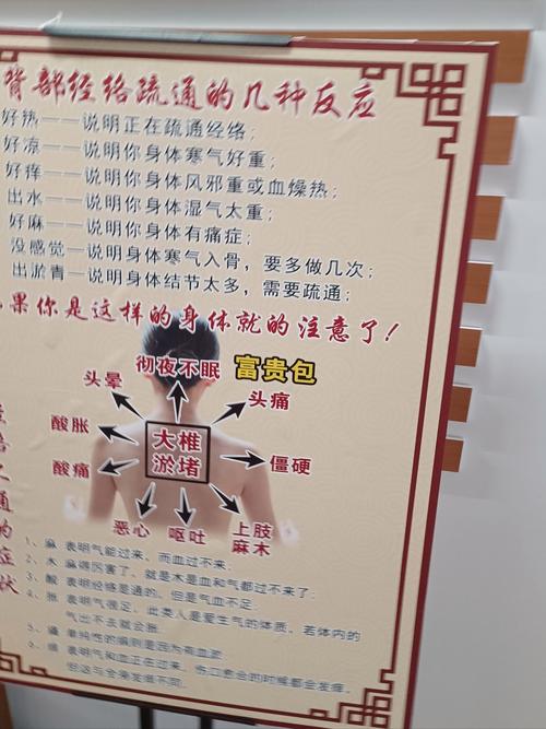 拔罐减肥什么时间好