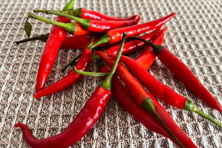 吃什么辣椒减肥