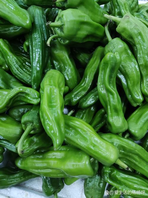 吃什么辣椒减肥