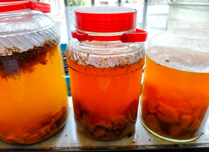 用什么水果做酵素减肥