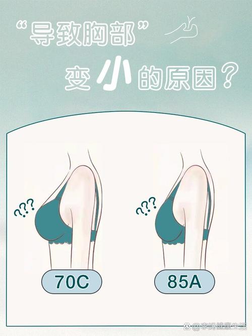 为什么减肥胸会变小了