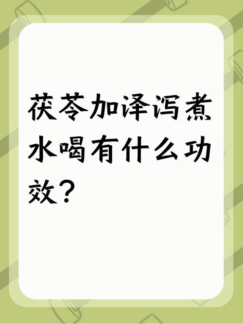 泡什么水喝可以减肥