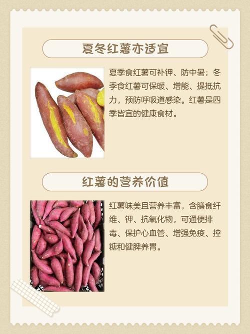 红薯为什么会减肥