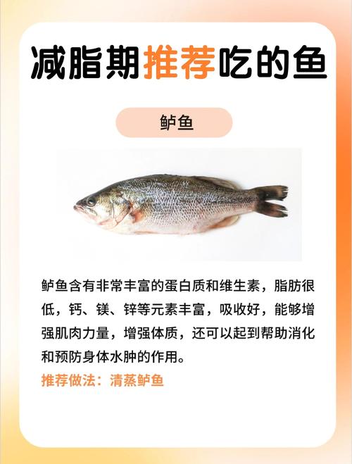 什么鱼瘦身减肥