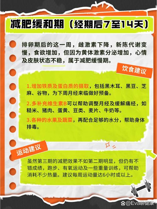 月经什么时候减肥最佳时间段