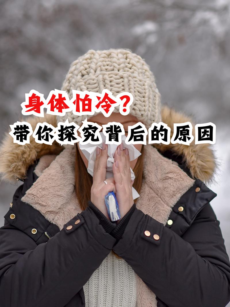 怕冷是因为什么