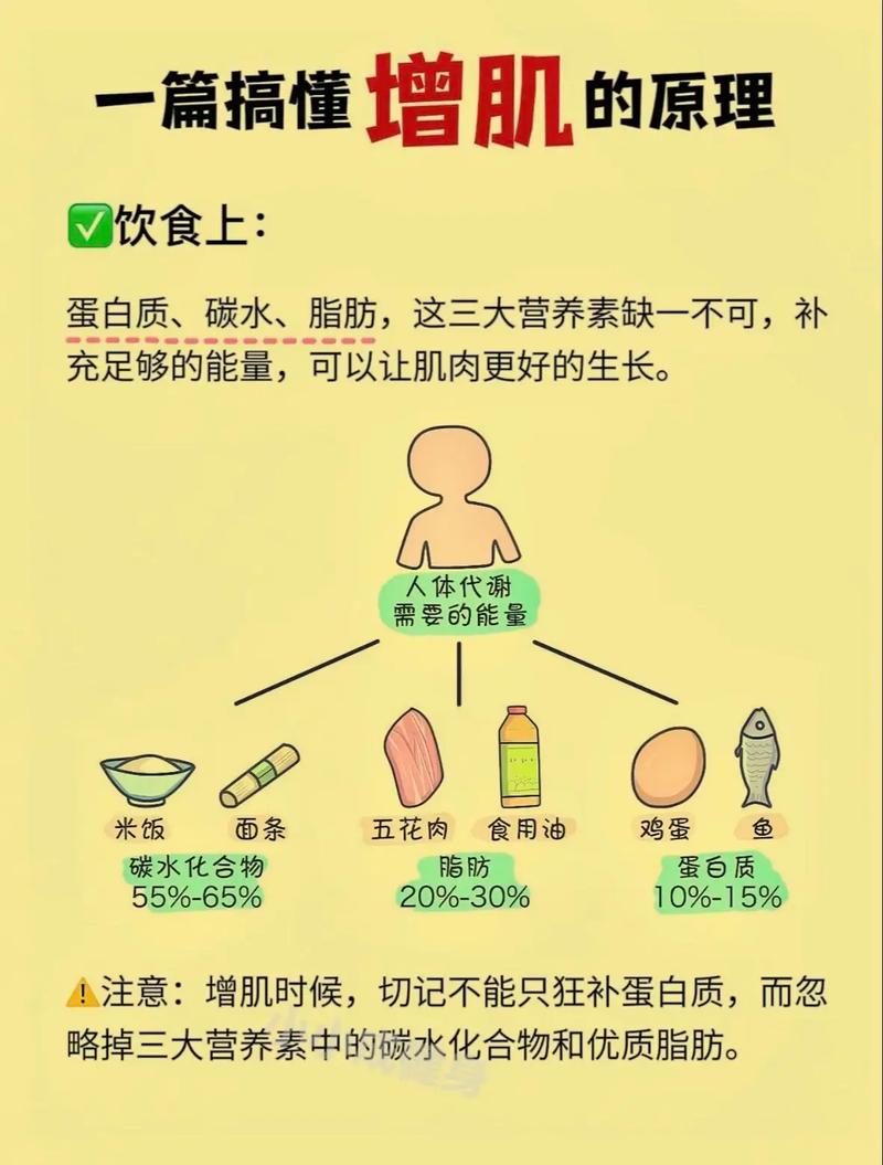 男人什么减肥方法