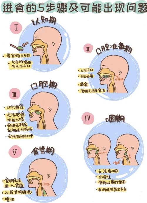 什么是吞菌减肥法