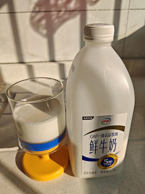 减肥和什么牛奶好