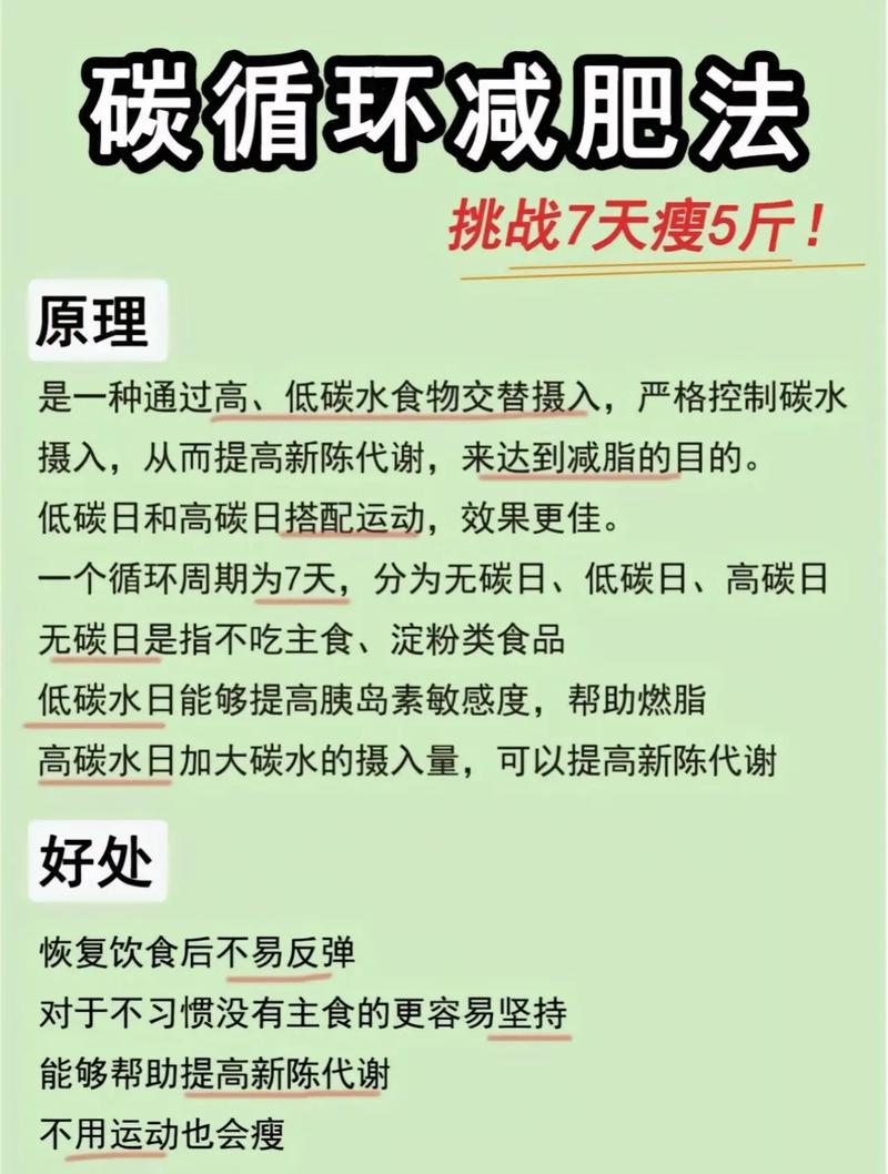 100秒减肥什么原理