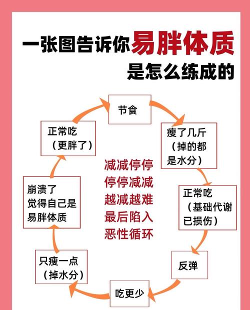 减肥中饿了吃点什么影响吗