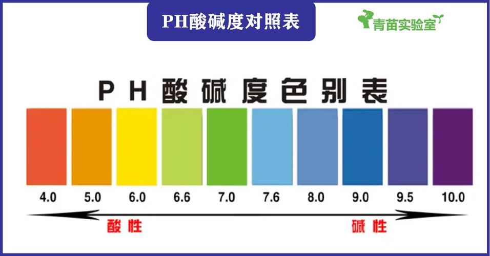 怎么测洗面奶的ph值