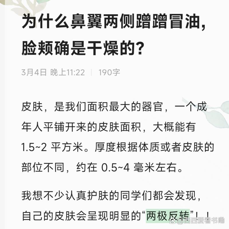 鼻子为什么会出油