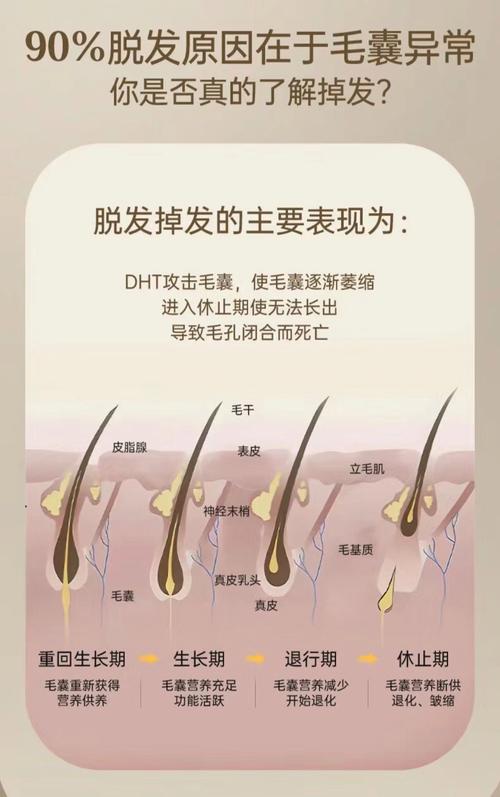 头发掉是为什么