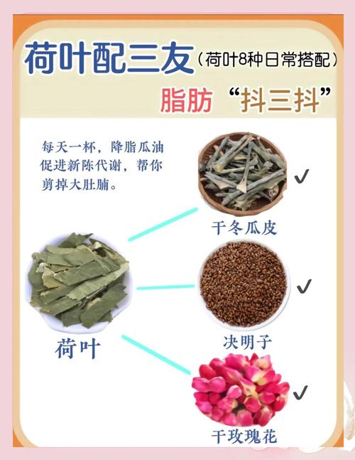 荷叶配什么吃减肥