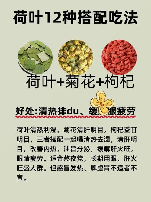 荷叶茶与什么搭配减肥