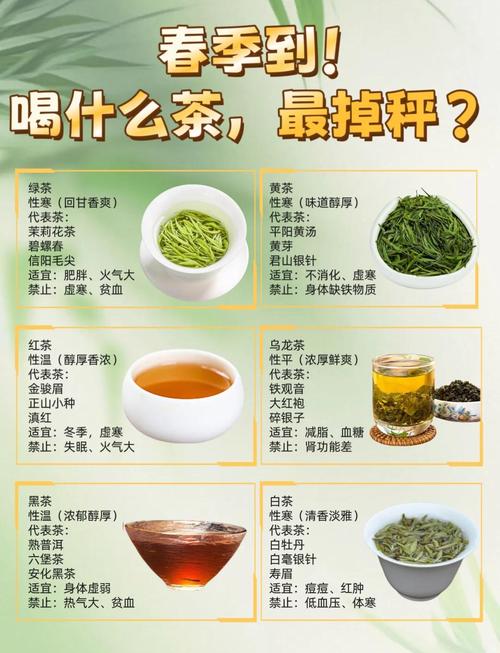 喝什么茶茶可以减肥