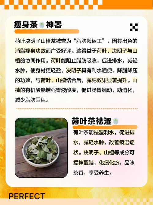 荷叶山楂减肥茶什么时候喝最好
