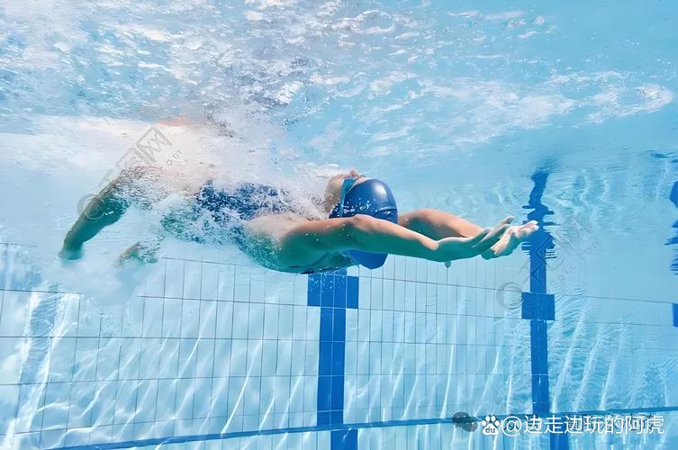 什么游泳方式最减肥