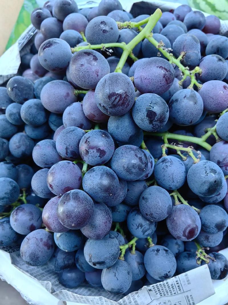 夏天什么水果成熟