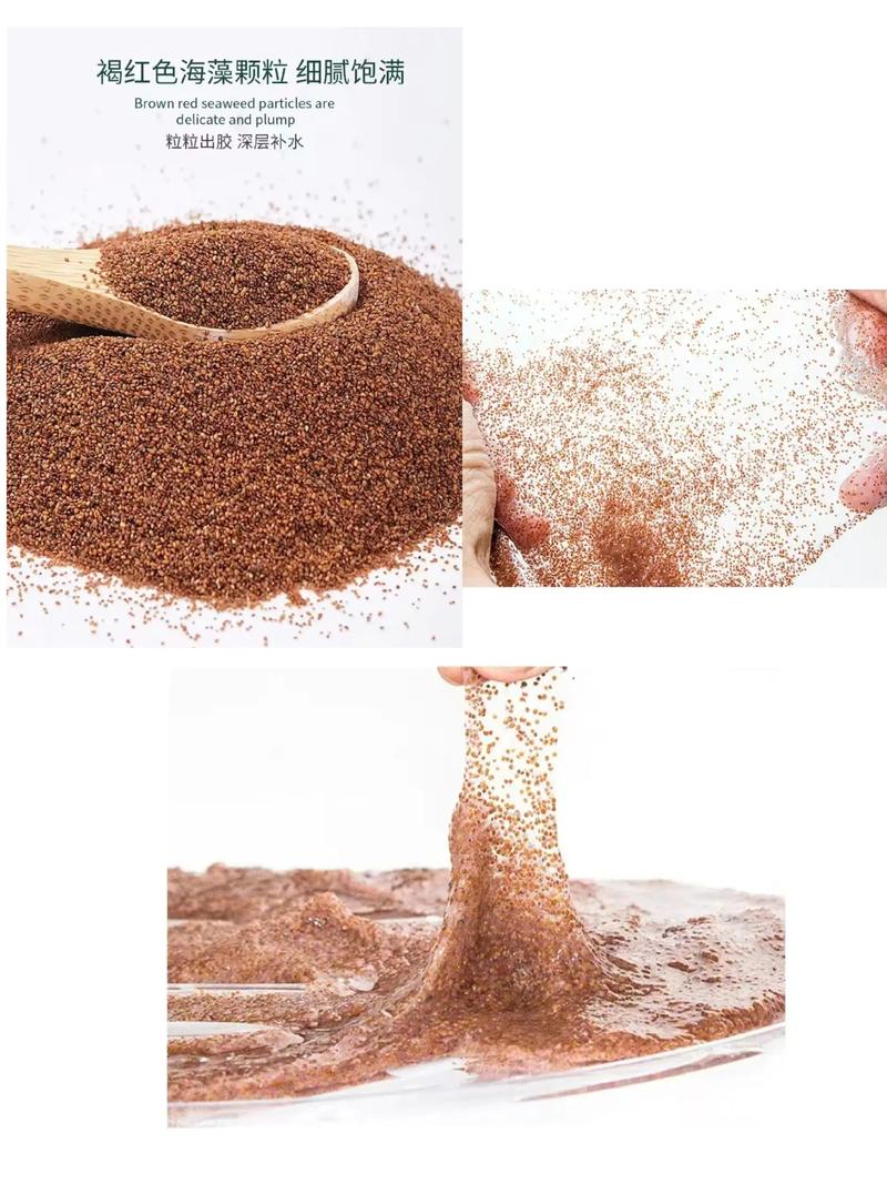 什么海藻面膜最好