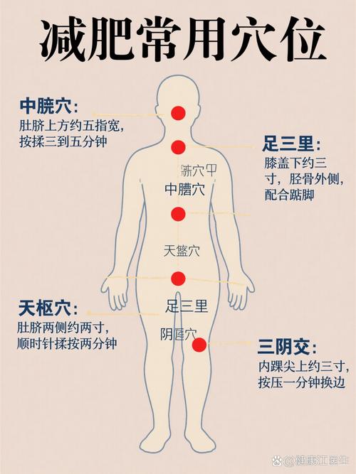 中医埋线减肥埋什么穴位