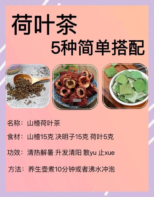 荷叶和什么组合是最好的减肥茶