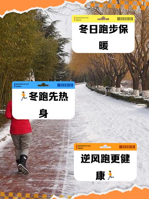 冬季适合什么运动