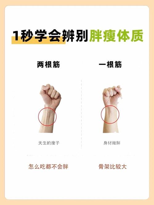 减肥先瘦脸是什么体质