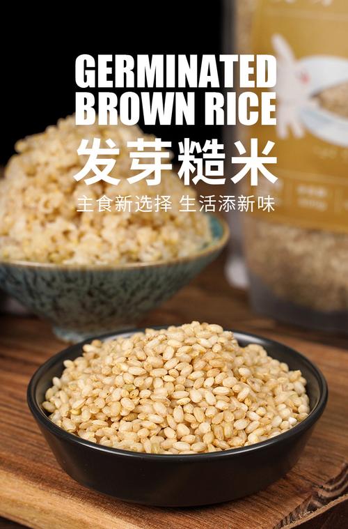 减肥的糙米是什么