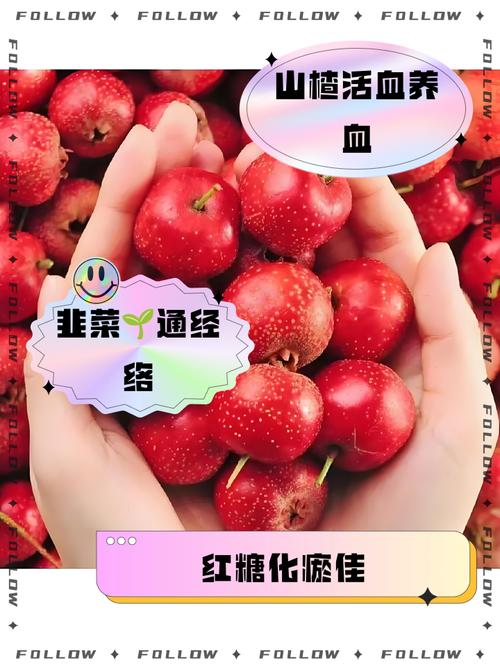 吃什么东西活血