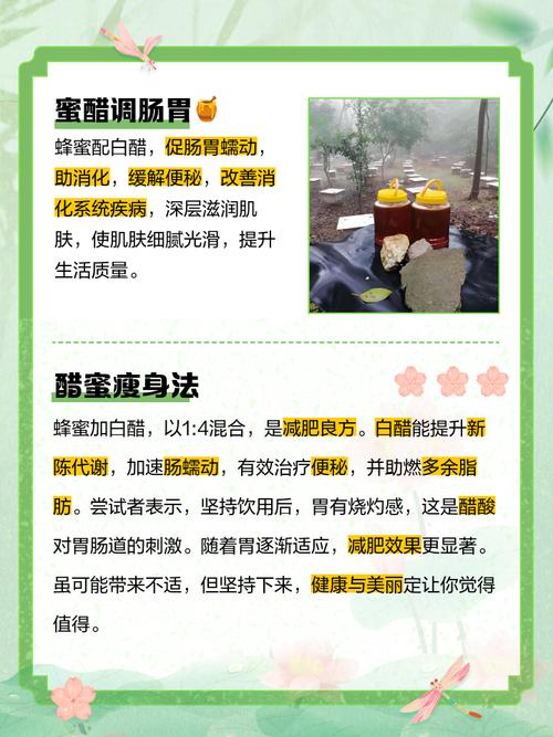 蜂蜜加什么是减肥的