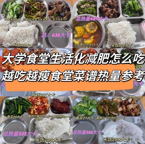 大学减肥晚上吃什么东西吗