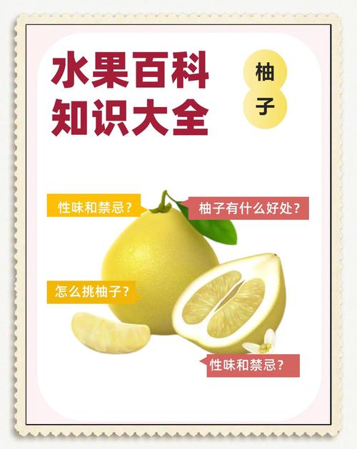 柚子为什么能减肥