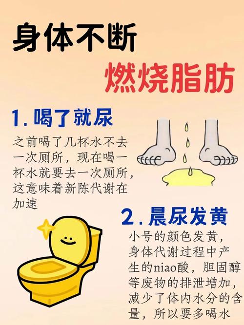 为什么减肥排不了便