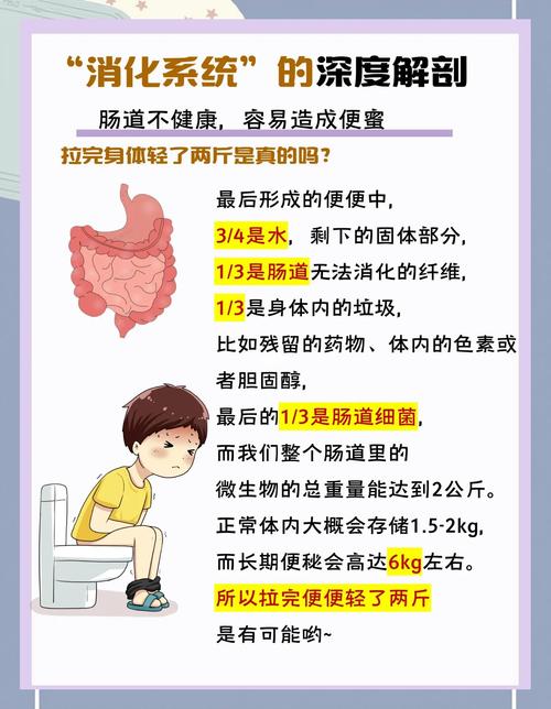 为什么减肥排不了便