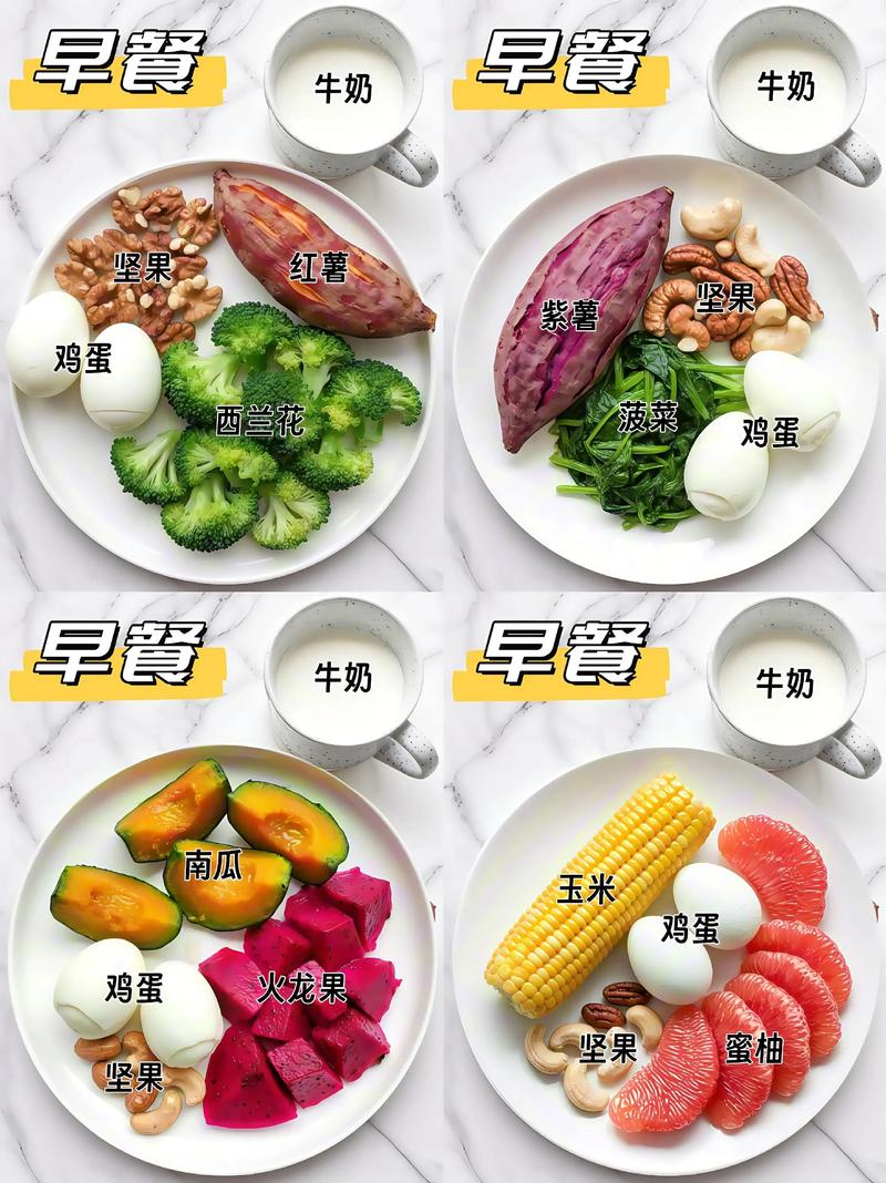 每天三餐吃什么可以减肥