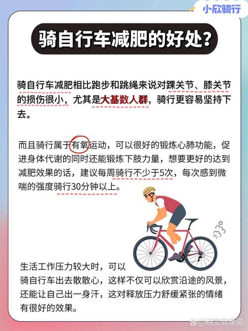 什么时候骑自行车减肥效果好