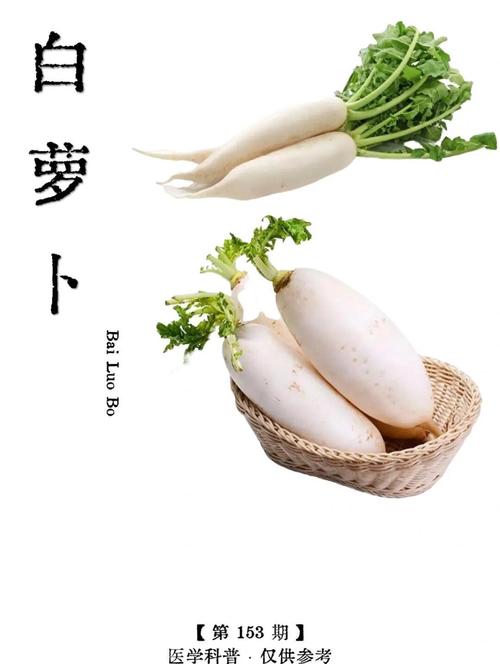 什么萝卜减肥